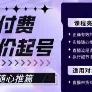 微付费正价起号随心推实操教程 正确投放玩法及复盘技巧-雨叶虚拟资源网