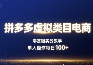 拼多多虚拟类目电商零基础实操 单人运营每日赚100+实战教学-雨叶虚拟资源网