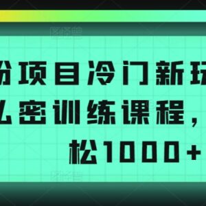 男粉变现冷门项目玩法拆解 售卖私密训练课单日收入超千元-雨叶虚拟资源网