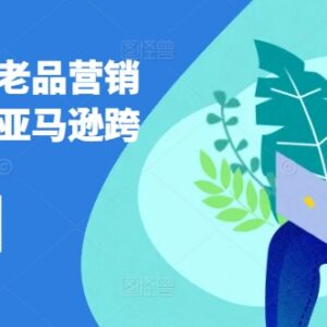 亚马逊新品老品营销打法汇总 跨境电商运营实操教程-雨叶虚拟资源网