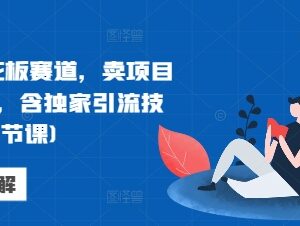 26节网创卖项目实操课 含独家引流及变现全流程教学-雨叶虚拟资源网
