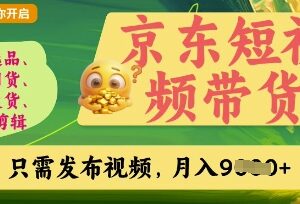 京东短视频带货零门槛副业 实操步骤及收益详解-雨叶虚拟资源网