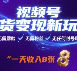 视频号零粉丝无需露脸带货玩法 新手低风险变现实操指南-雨叶虚拟资源网