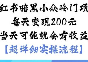 小红书冷门情感服务项目操作攻略 低门槛变现最快当天可获收益-雨叶虚拟资源网