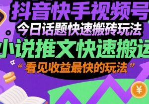 抖音快手视频号小说推文快速搬砖玩法 低门槛易操作收益见效快-雨叶虚拟资源网