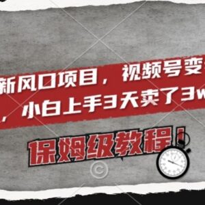 2024视频号变老特效变现项目教程 新手低门槛实操玩法详解-雨叶虚拟资源网