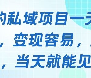 2025低门槛私域负债人群变现项目 操作简单单日收益可达数千元-雨叶虚拟资源网