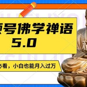 视频号佛学禅语5.0玩法 低门槛副业实操变现全流程教程-雨叶虚拟资源网