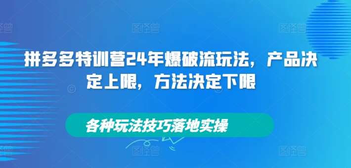 2024年拼多多特训营爆破流玩法 全品类起店运营实操技巧汇总
