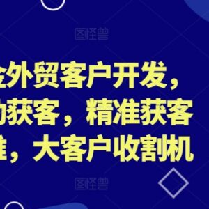 百万美金外贸客户开发教程 主动精准获客系统方法教学-雨叶虚拟资源网