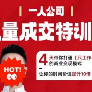 2025流量成交特训营 4天打通个人商业变现模式提升时间价值-雨叶虚拟资源网