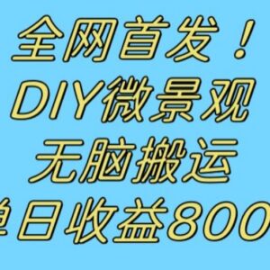 冷门DIY微景观赚钱项目拆解：搬运视频引流日入800+实操教程-雨叶虚拟资源网