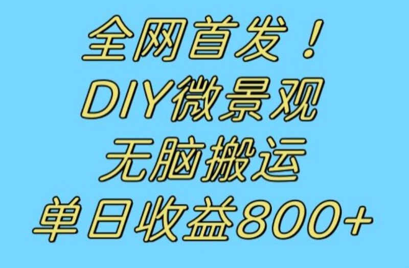 冷门DIY微景观赚钱项目拆解：搬运视频引流日入800+实操教程