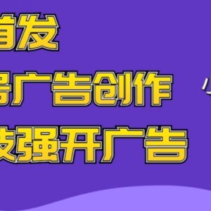 2024最新视频号广告创作实操玩法 AI制视频低门槛新手可落地-雨叶虚拟资源网