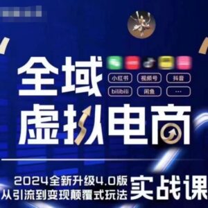 全域虚拟电商4.0实操课程 5大黄金虚拟赛道创新玩法全解析-雨叶虚拟资源网