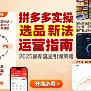 王校长9月12日拼多多实操新玩法 全链路涵盖选品推广运营思路-雨叶虚拟资源网
