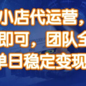 快手小店代运营玩法揭秘 仅需提供账号团队全操盘稳定变现-雨叶虚拟资源网