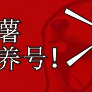 小红书养号完整实操攻略 打标签涨粉打造高权重账号实用方法-雨叶虚拟资源网