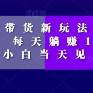 2024短视频特效带货新玩法拆解 零基础小白当天可获收益-雨叶虚拟资源网