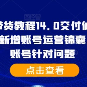 2024抖音图文带货14.0教程 含基础精英课 附账号运营问题解决方案-雨叶虚拟资源网