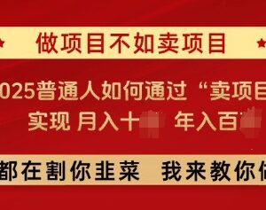 2025普通人卖项目赚钱攻略 低门槛年入百万实操路径解析-雨叶虚拟资源网
