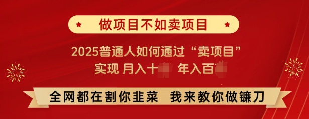 2025普通人卖项目赚钱攻略 低门槛年入百万实操路径解析