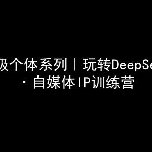 DeepSeek自媒体IP训练营教程 超级个体打造变现系统课程-雨叶虚拟资源网