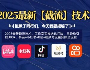 2025多平台短视频截流实操打法 工作室迭代版可日引精准粉300+-雨叶虚拟资源网