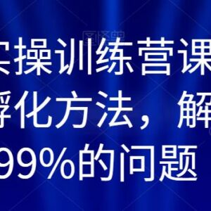 百万IP实操训练营课程 全链路IP孵化方法解决99%做号难题-雨叶虚拟资源网