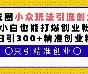 朋友圈引流创业粉小众玩法拆解 小白也能日引300+精准创业粉-雨叶虚拟资源网
