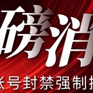2024小红书账号封禁强制换绑实操方法及变现玩法详解-雨叶虚拟资源网