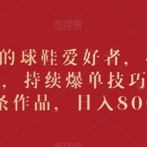 精准吸引球鞋爱好者爆单技巧 小白5分钟出片实操教程-雨叶虚拟资源网