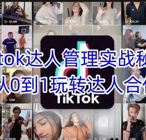 TikTok达人合作从0到1实操攻略 达人管理全流程核心技巧-雨叶虚拟资源网