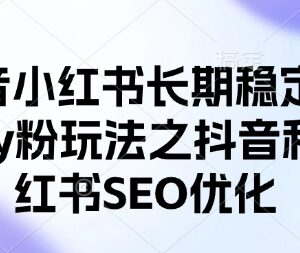 抖音小红书长期稳定引流方法 双平台SEO优化实操玩法教学-雨叶虚拟资源网