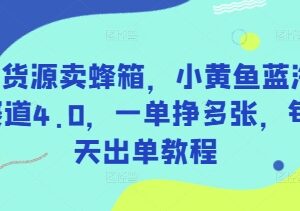 2025闲鱼无货源卖蜂箱实操教程 蓝海赛道稳定出单玩法详解-雨叶虚拟资源网