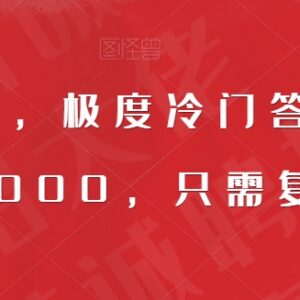 全网首发,极度冷门答题项目,一月6000,只需复制粘贴【揭秘】-雨叶虚拟资源网