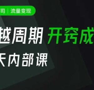 一人公司流量变现课模型拆解 富人流量小老板核心思维全解析-雨叶虚拟资源网