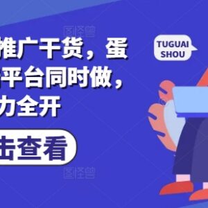 小说推文推广实用干货 蛋花小说三端平台同步运营玩法详解-雨叶虚拟资源网