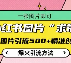 小红书求带图片引流玩法详解 单张图可引500+精准创业粉-雨叶虚拟资源网