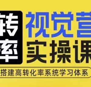 电商高转化率视觉营销实操课 4大模块搭建系统转化提升学习体系-雨叶虚拟资源网