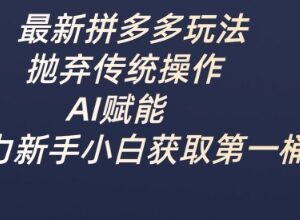 2025AI赋能拼多多全新玩法 新手小白零经验赚第一桶金实操教程-雨叶虚拟资源网