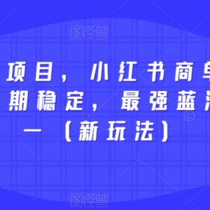 2023小红书商单蓝海项目新玩法 快速涨千粉长期稳定易变现-雨叶虚拟资源网