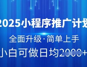 2025升级版小程序推广计划 低门槛挂机收益操作方法详解-雨叶虚拟资源网