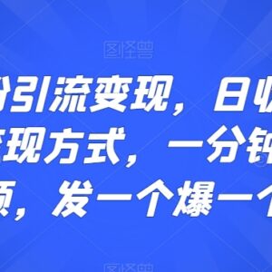 S粉引流变现实操玩法 1分钟制作爆量视频 多模式日赚300+教程-雨叶虚拟资源网