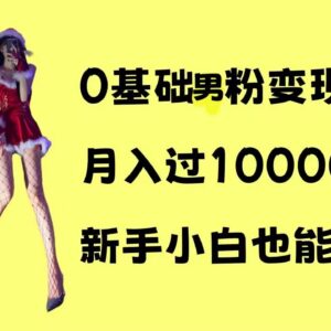0基础男粉变现项目实操攻略 新手小白可操作月入超1万元-雨叶虚拟资源网