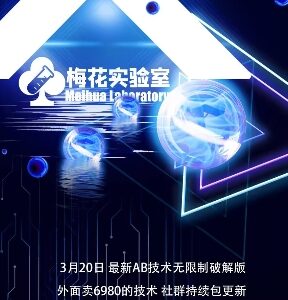 视频号连怼玩法实操教程 5760大尺寸去重AB技术详解-雨叶虚拟资源网