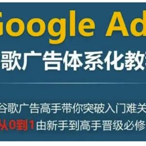 Google Ads谷歌广告体系化教程 零基础从入门到高手进阶指南-雨叶虚拟资源网