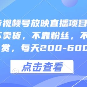 快手抖音视频号放映直播项目教程 零粉丝无违规副业实操指南-雨叶虚拟资源网