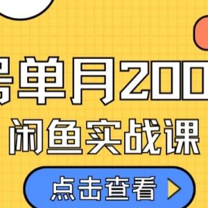 闲鱼虚拟资料变现实操教程 新手日入500全流程保姆级讲解-雨叶虚拟资源网
