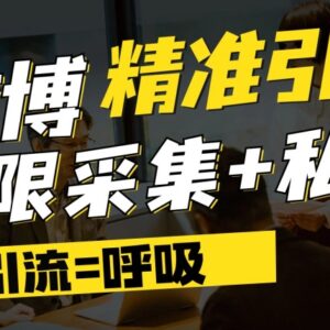 微博高效精准引流工具：支持博文评论采集私信 核心功能详解-雨叶虚拟资源网